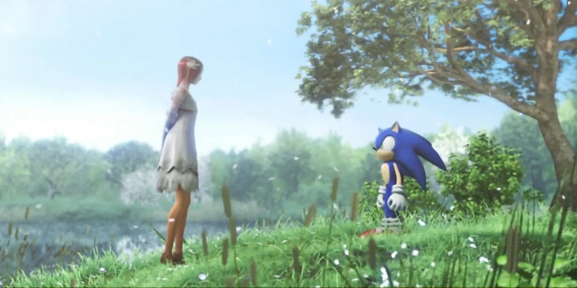 Công chúa Elise và Sonic đứng trên một cánh đồng trong Sonic The Hedgehog 2006, một tựa game gây nhiều tranh cãi