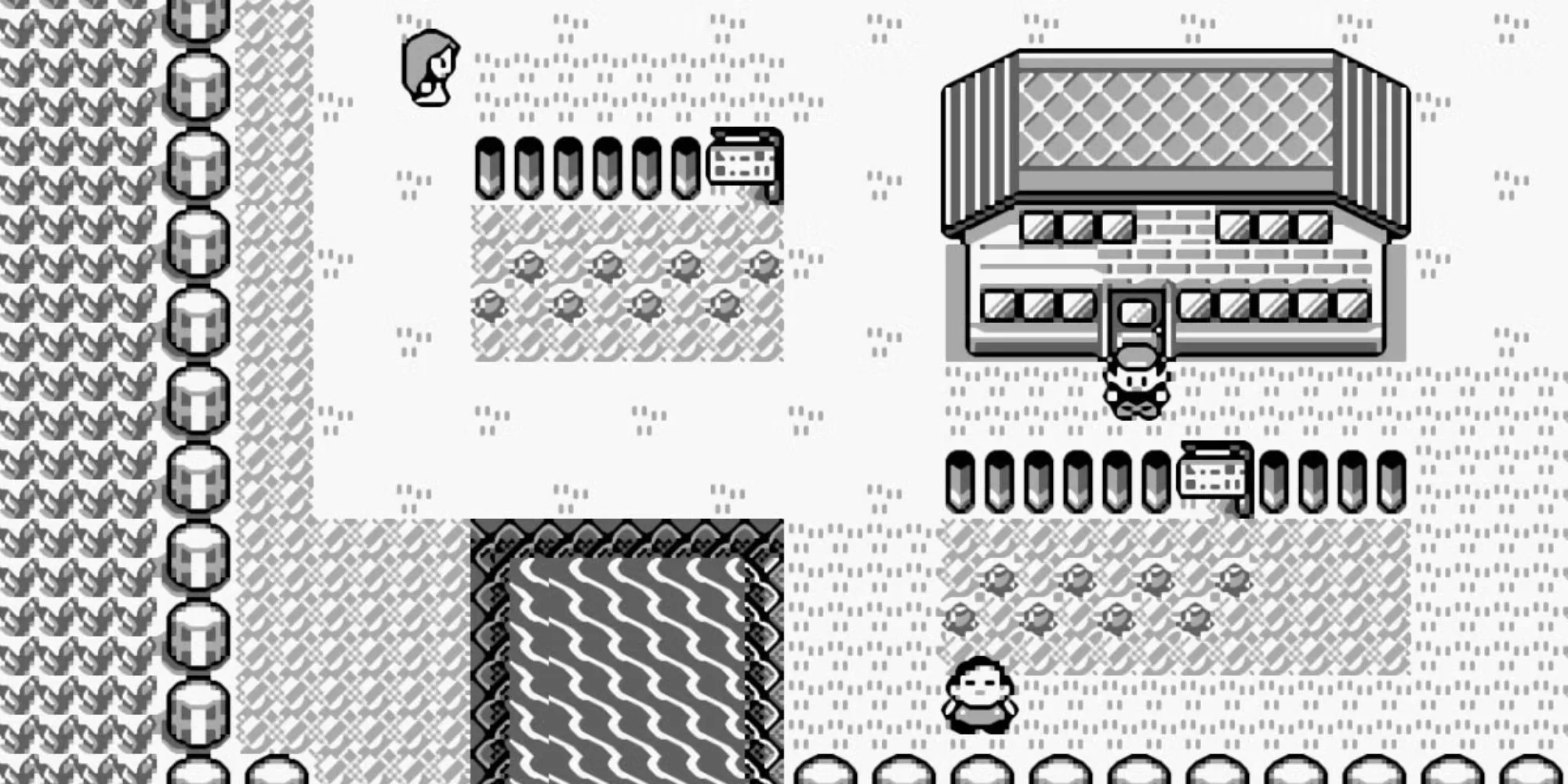 Khung cảnh thị trấn Pallet Town, nơi bắt đầu cuộc hành trình huấn luyện Pokemon của Red trong game Pokemon Red.