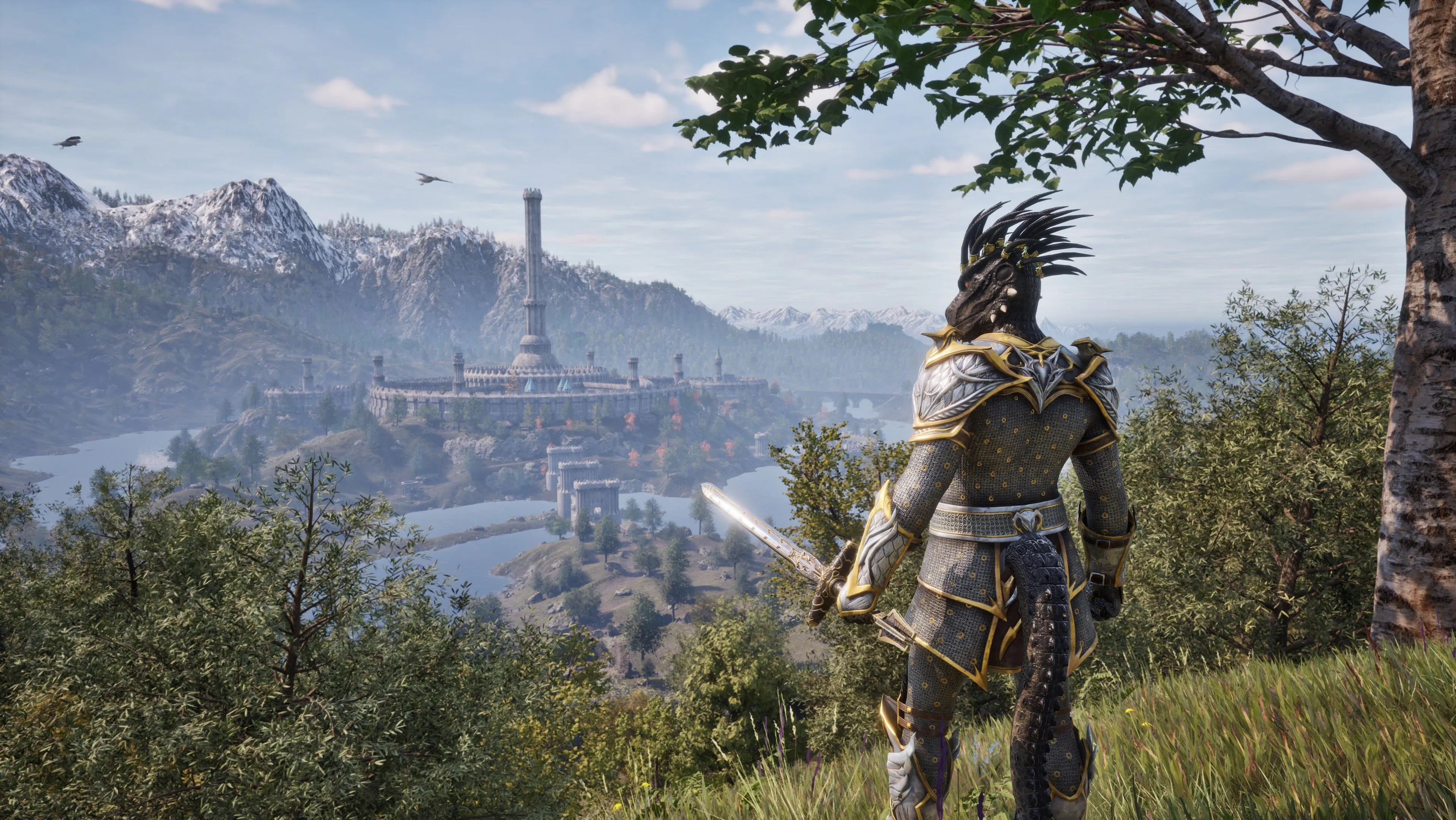 Nhân vật đứng nhìn ra cảnh quan rộng lớn trong The Elder Scrolls IV Oblivion Remastered