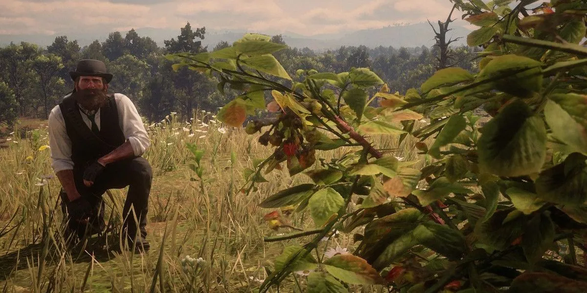 Arthur Morgan thu thập thảo mộc trong Red Dead Redemption 2, ví dụ về nhiệm vụ thu thập vật phẩm tẻ nhạt.
