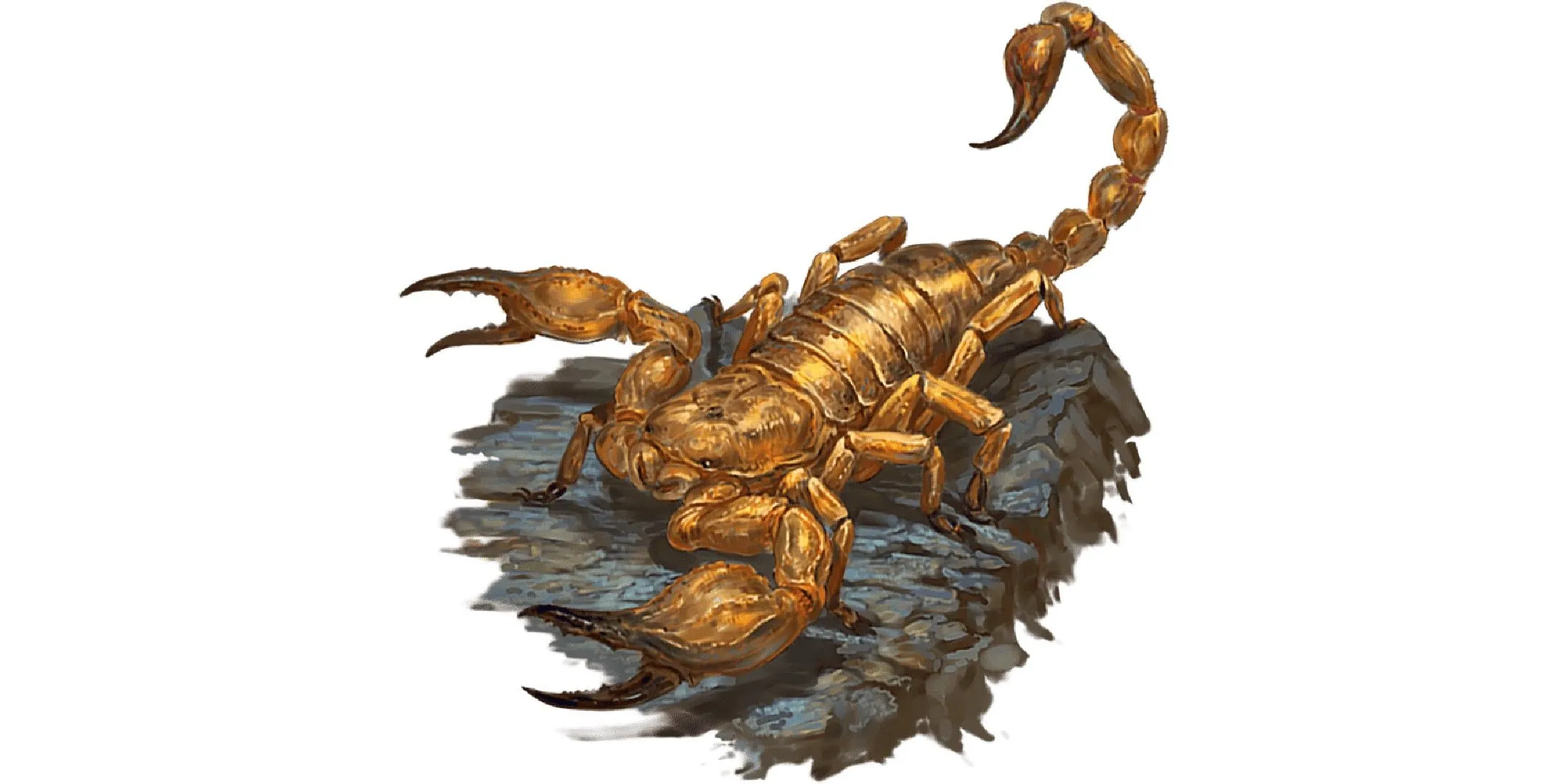 Một con bọ cạp khổng lồ đáng sợ trong nghệ thuật Dungeons &amp; Dragons.