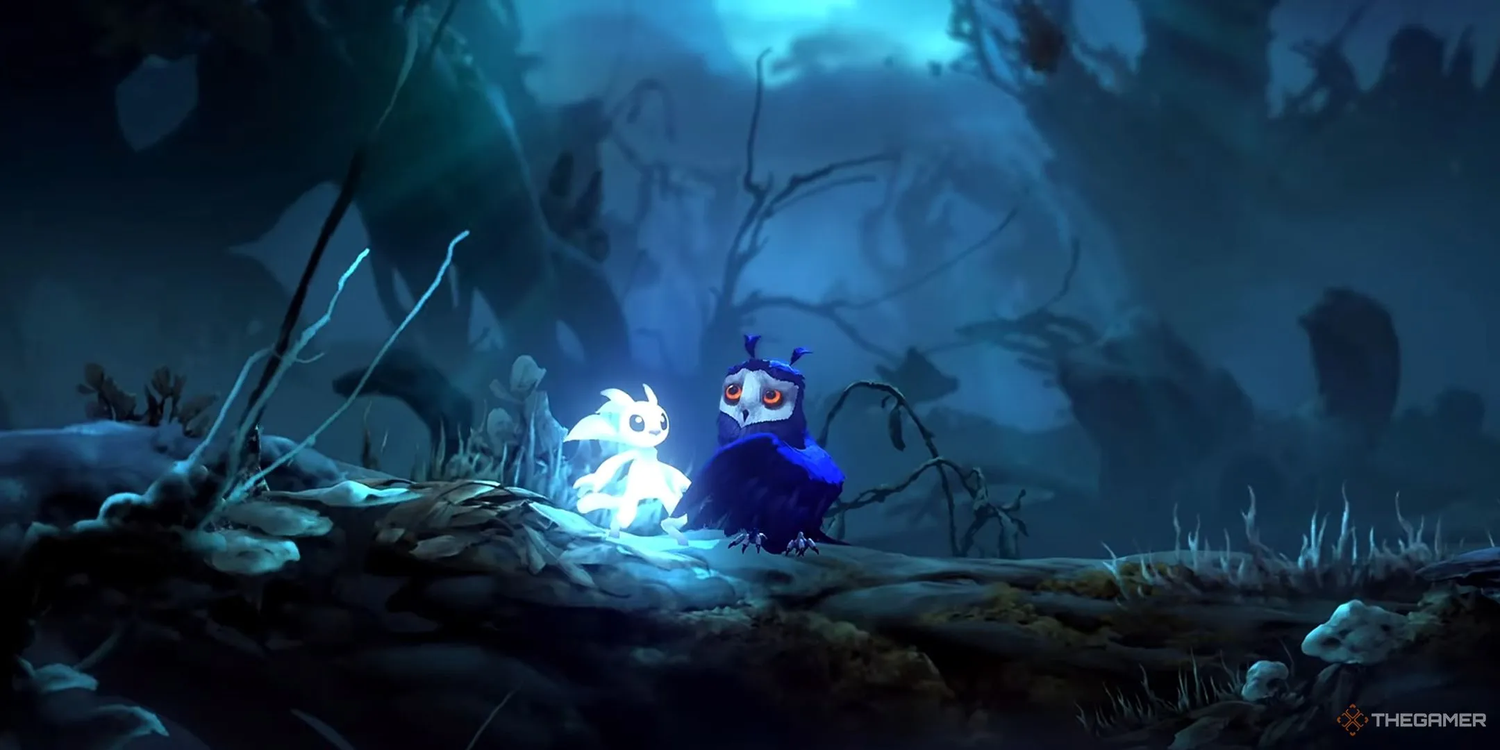 Ori và người bạn cú Ku cùng nhau phiêu lưu trong game Ori and the Will of the Wisps, trước những biến cố đầy cảm xúc.