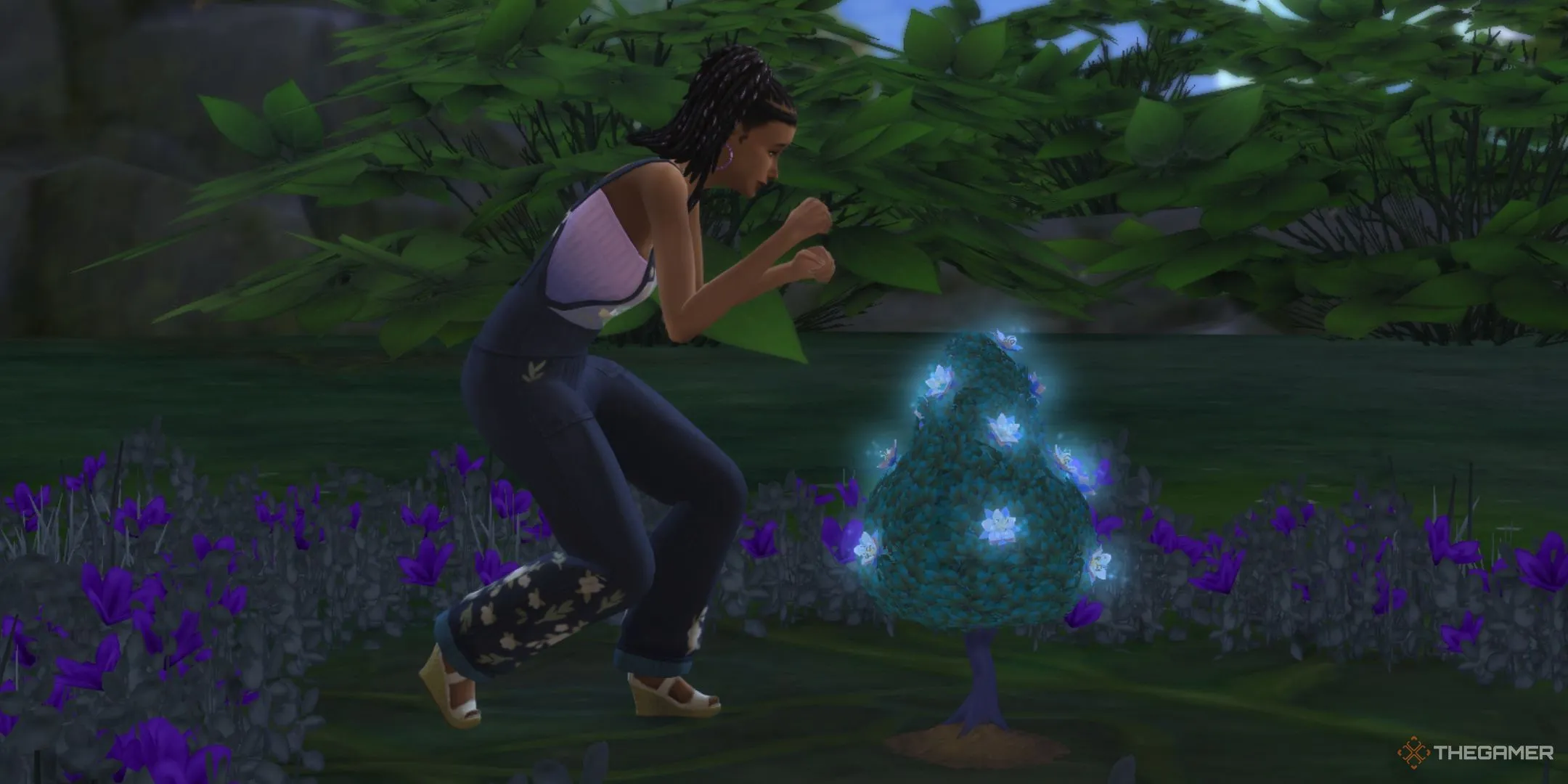 Sim thu thập cánh hoa Aura ở Everdew, liên quan đến các tính cách mới như Plant Lover hoặc Mystical trong Sims 4 Enchanted By Nature.