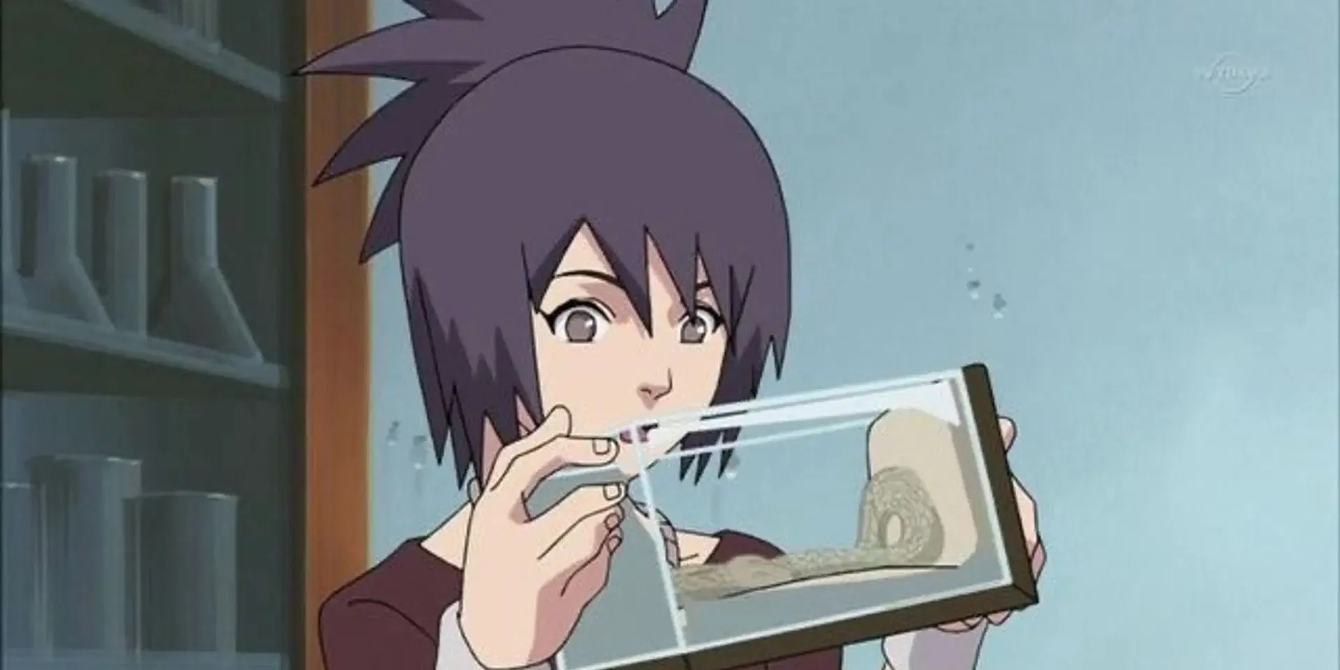 Anko Mitarashi, một kunoichi bí ẩn với quá khứ là học trò của Orochimaru, sở hữu tính cách mạnh mẽ và tiềm năng to lớn nhưng ít được khai thác sâu trong cốt truyện Naruto.