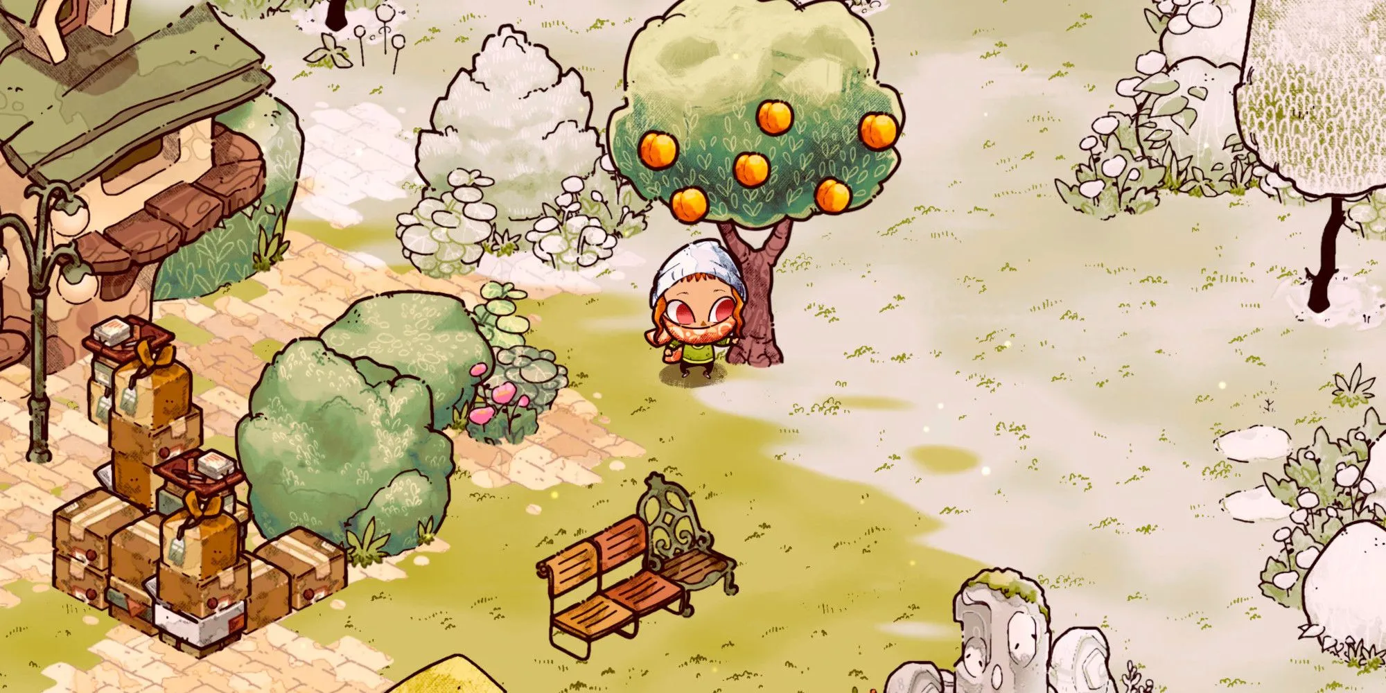 Khu công viên Cozy Grove với cây cam đặc trưng